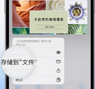 江汉石油管理局apple维修中心分享iPhone文件应用中存储和找到下载文件