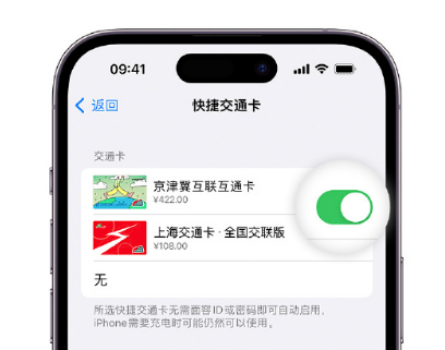 江汉石油管理局apple维修点分享iPhone上更换Apple Pay快捷交通卡手绘卡面 