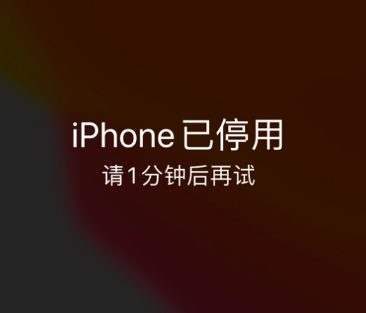 江汉石油管理局苹果手机维修分享:iPhone 显示“不可用”或“已停用”怎么办？还能保留数据吗？ 