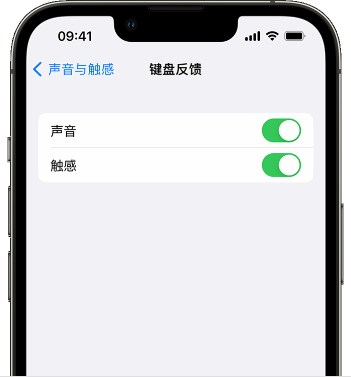 江汉石油管理局苹果14维修店分享如何在 iPhone 14 机型中使用触感键盘 