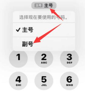 江汉石油管理局苹果14维修店分享iPhone 14 Pro Max使用副卡打电话的方法 