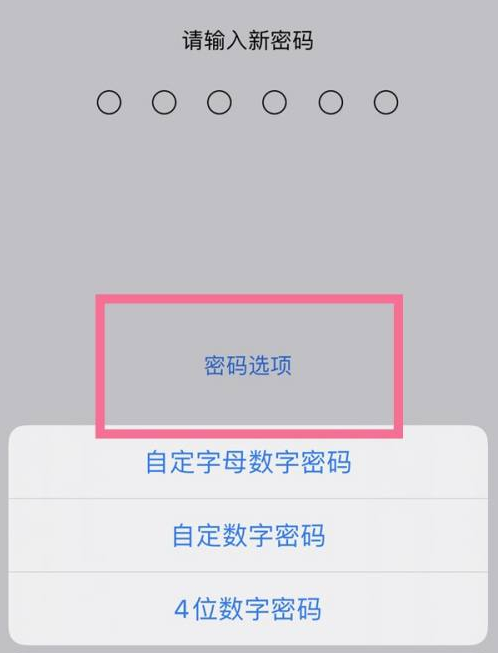 江汉石油管理局苹果14维修分享iPhone 14plus设置密码的方法 