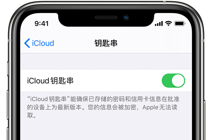 江汉石油管理局苹果手机维修分享在 iPhone 上开启 iCloud 钥匙串之后会储存哪些信息 