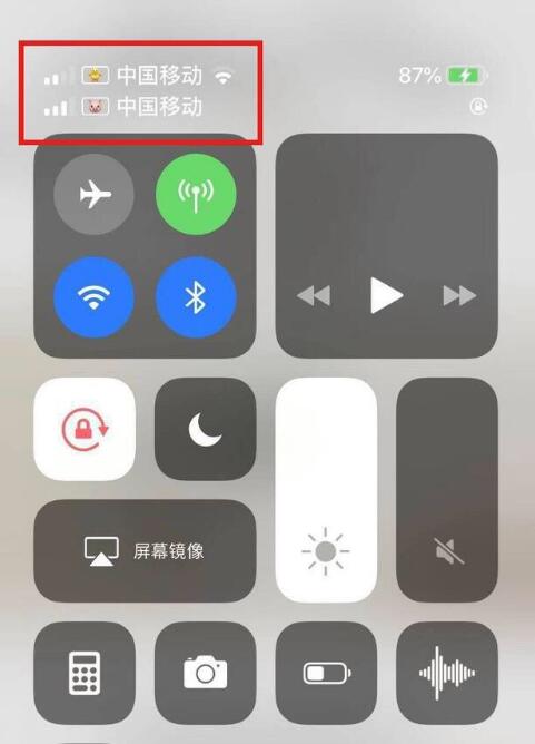 江汉石油管理局苹果手机维修分享为 iPhone 12 双卡设置标签 
